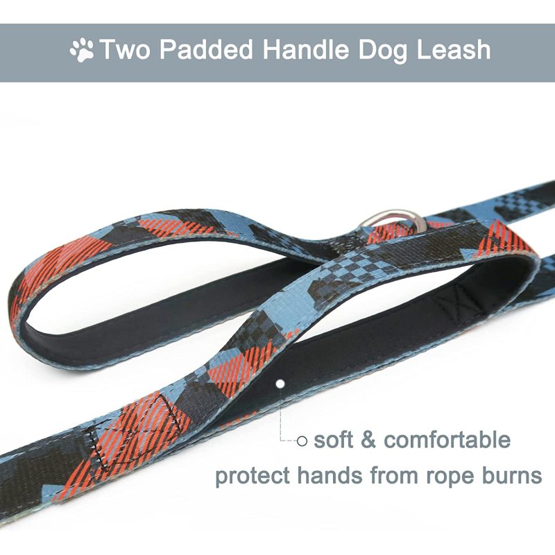 Traffic Padded Double Handles Cute Printed Dog Leash for Safe Control Training