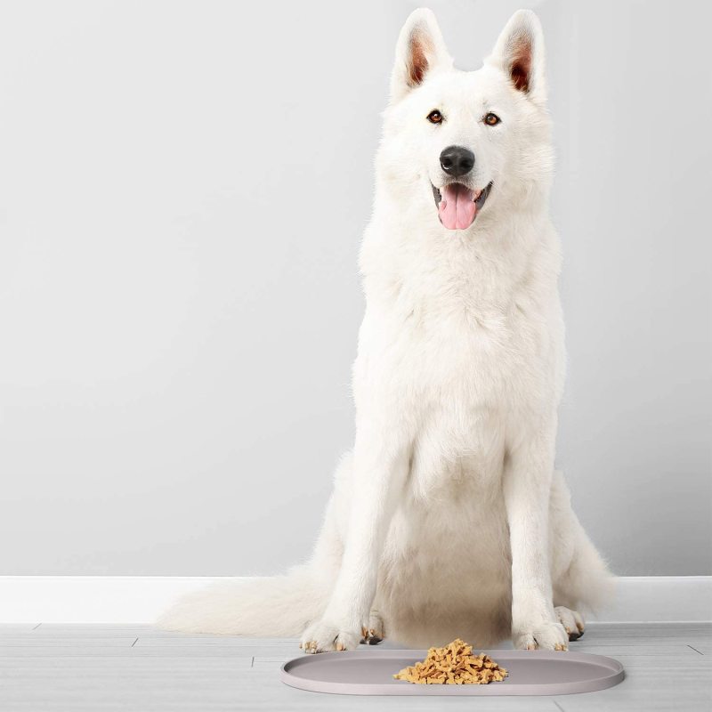 Waterproof Silicone Dog Bowl Mat