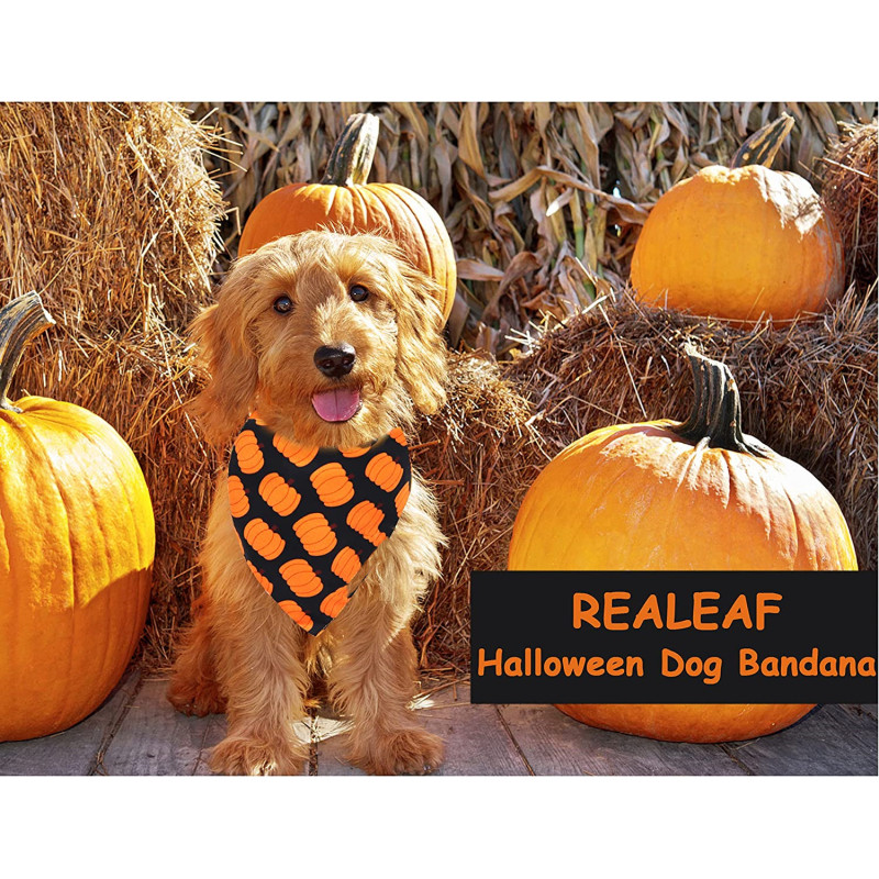 Halloween Dog Bandanas 2 Pack, Pumpkin  Fall Scarf for Boy and Girl, Premium Durable Fabric, Orange Holiday