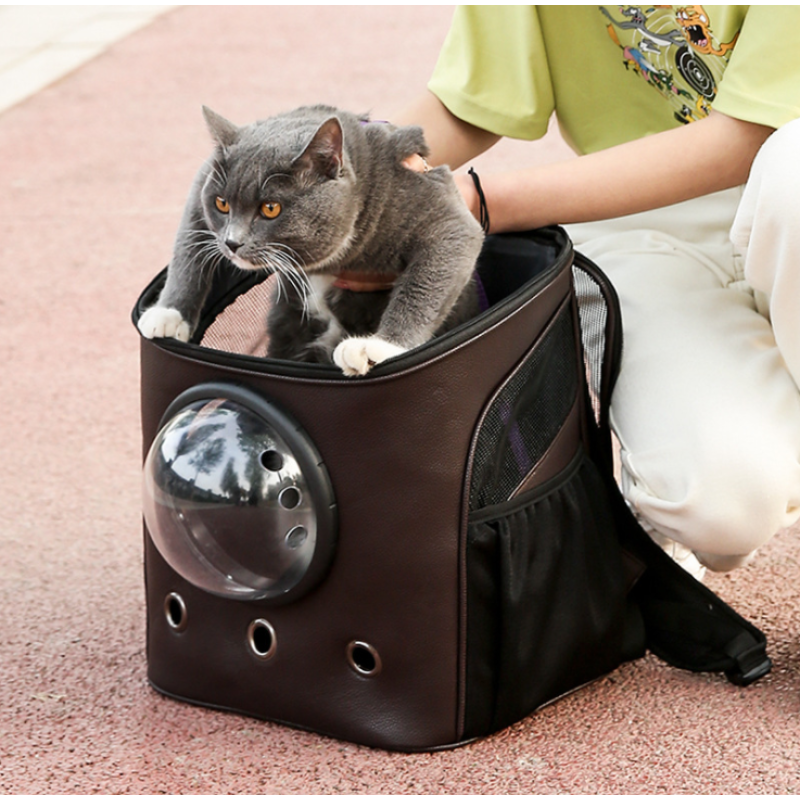Cat Backpack Carrier Bubble Bag, Small Dog Backpack Carrier for Small Dogs, Space Capsule Pet Carrier Dog Hiking Backpack