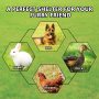 Waterproof UV-Resistant Cover Outdoor Fence Dog Cage Secure Lock