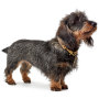 Wholesale Unique Soft Dog Collar With Custom Pet Dog Cat ID Tag