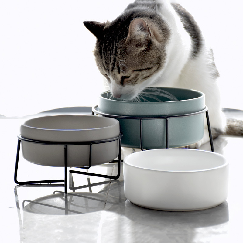 Travel Pet Feeder With Stainless Steel Stand Ceramics Cat Dog Bowl For Pet