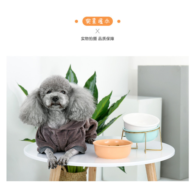 Travel Pet Feeder With Stainless Steel Stand Ceramics Cat Dog Bowl For Pet
