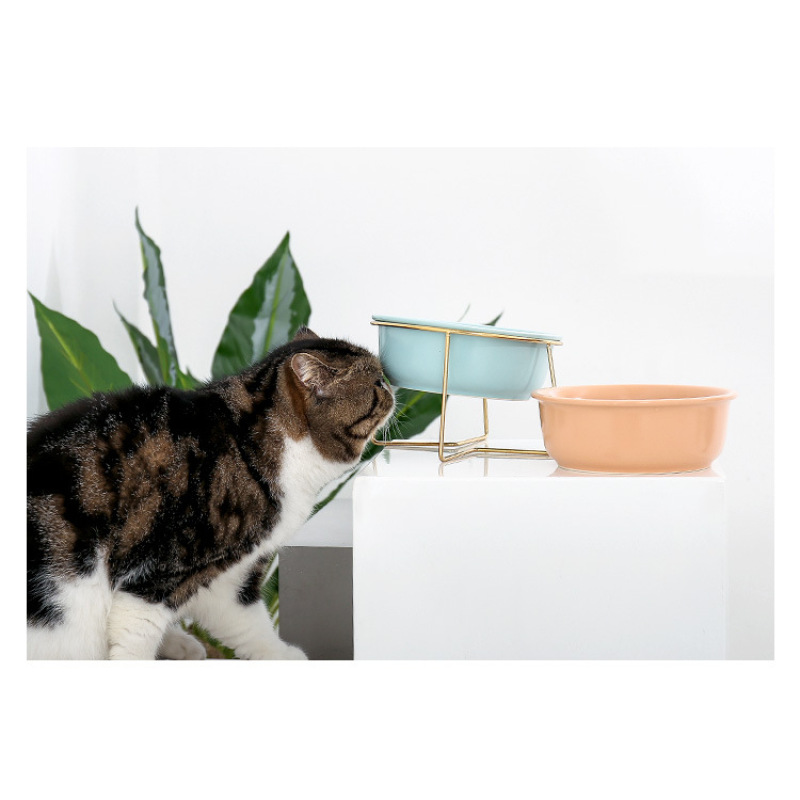 Travel Pet Feeder With Stainless Steel Stand Ceramics Cat Dog Bowl For Pet