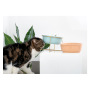 Travel Pet Feeder With Stainless Steel Stand Ceramics Cat Dog Bowl For Pet