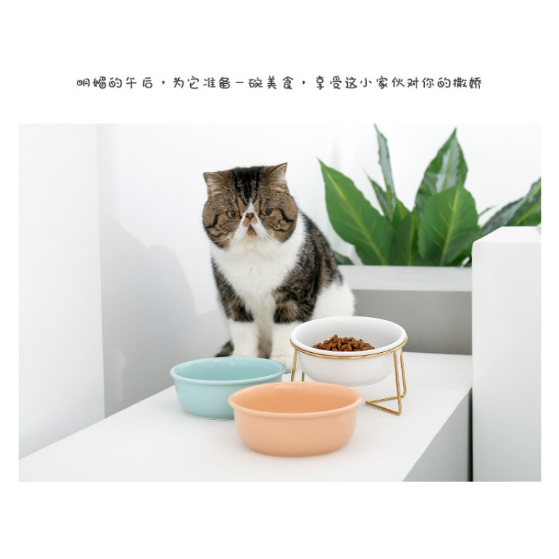 Travel Pet Feeder With Stainless Steel Stand Ceramics Cat Dog Bowl For Pet