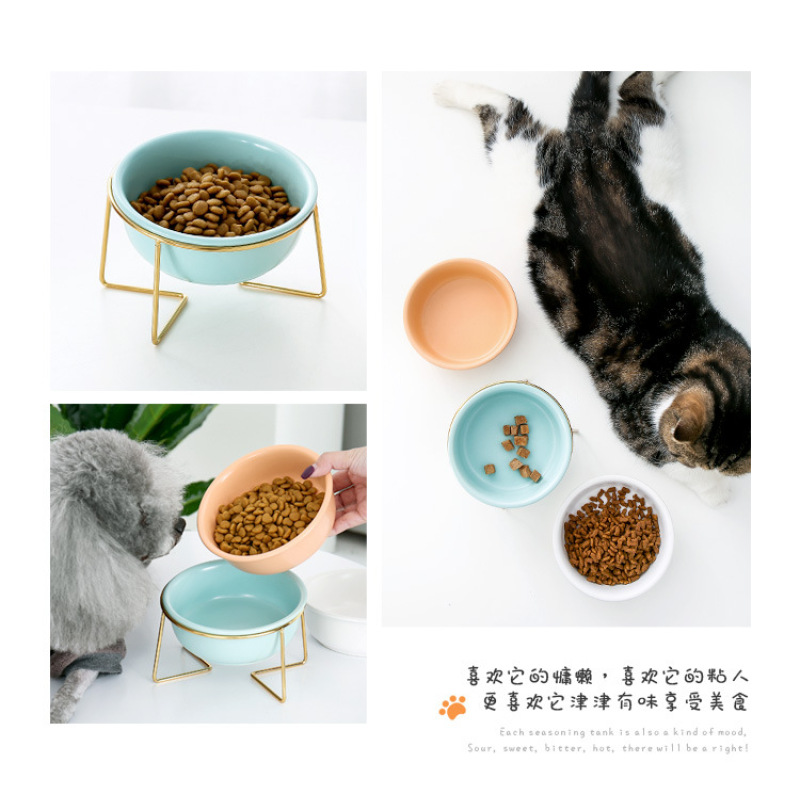 Travel Pet Feeder With Stainless Steel Stand Ceramics Cat Dog Bowl For Pet