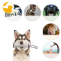 New Dog Bite Tug Toy Durable Dog Bite Tug Toy Pillow Training For Large Dogs Wholesale
