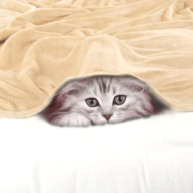 Pet Dog Blanket, Flannel Fleece Puppy Blanket Solid Plush Warm Rug Blankets and Throws for Small-Medium Dogs Cats Doggy Sleeping