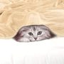 Pet Dog Blanket, Flannel Fleece Puppy Blanket Solid Plush Warm Rug Blankets and Throws for Small-Medium Dogs Cats Doggy Sleeping