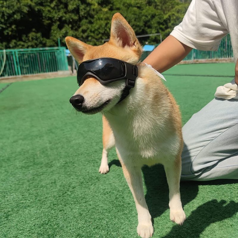 Medium Breed Dog Sunglasses UV Protection for Medium Dog