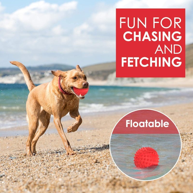 Squeaky Dog Ball Toy for Aggressive Chewers ,4 Inches Indestructible Durable Big Dogs Chew Spiky Ball, Floatable Rubber Pet Toys