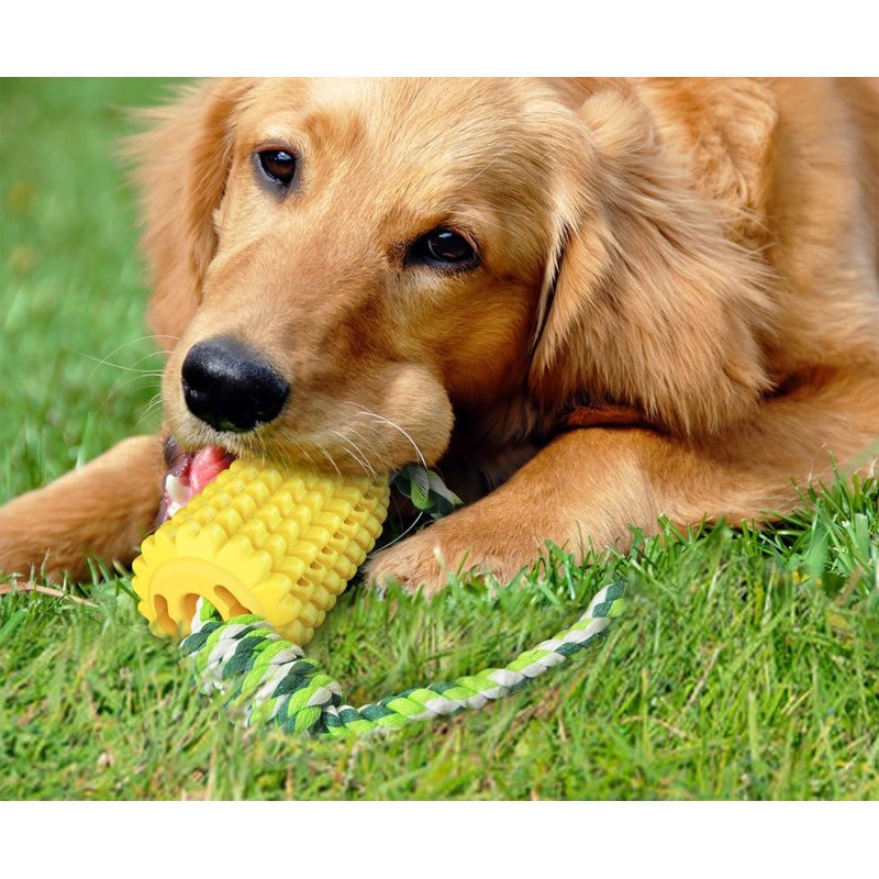Corn Toys Dog Chew Toys Puppy Toothbrush Clean Teeth For Squeaky Interactive Dog Toys Indoor Or Outdoor Use