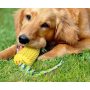 Corn Toys Dog Chew Toys Puppy Toothbrush Clean Teeth For Squeaky Interactive Dog Toys Indoor Or Outdoor Use