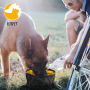 Dog Pet Collapsible Bowls Outdoor Travel Dog Bowl Water Bowl for Dog Puppy Cat