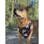 Patrick's Day Dog Bandanas | 3-Pack | Lucky Shamrock Clover Bandanna