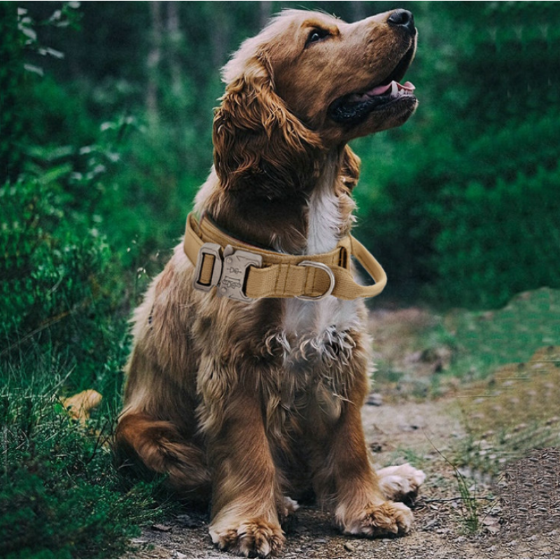 Nylon Tactical Dog Collar for Military Training with Control Handle Adjustable Pet Dog Collar