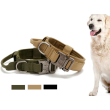 Dark Khaki