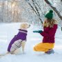 Dog Winter Jacket Cozy Reflective Waterproof Dog Coat Windproof Warm Pet Garment, Comfortable Cold Weather Fleece Apparel Outfit