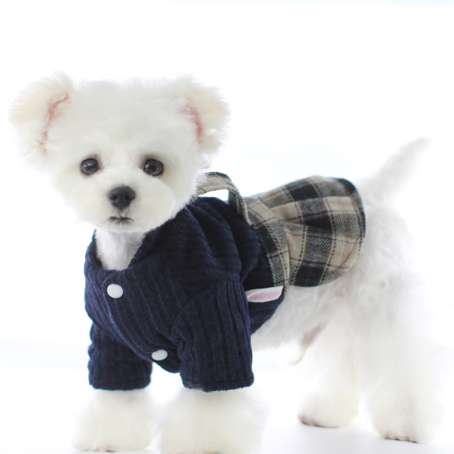 Best price superior quality all season pet accessories dog clothes from china