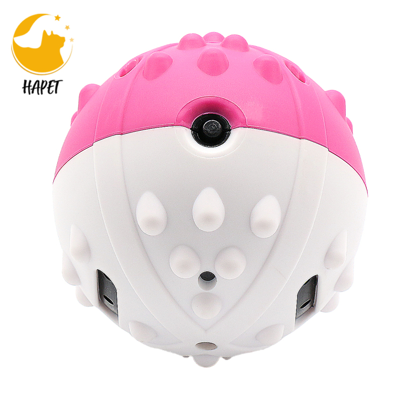 Pet Champion Companion TPR Squeaky Bouncing Ball Pet Chew Toys
