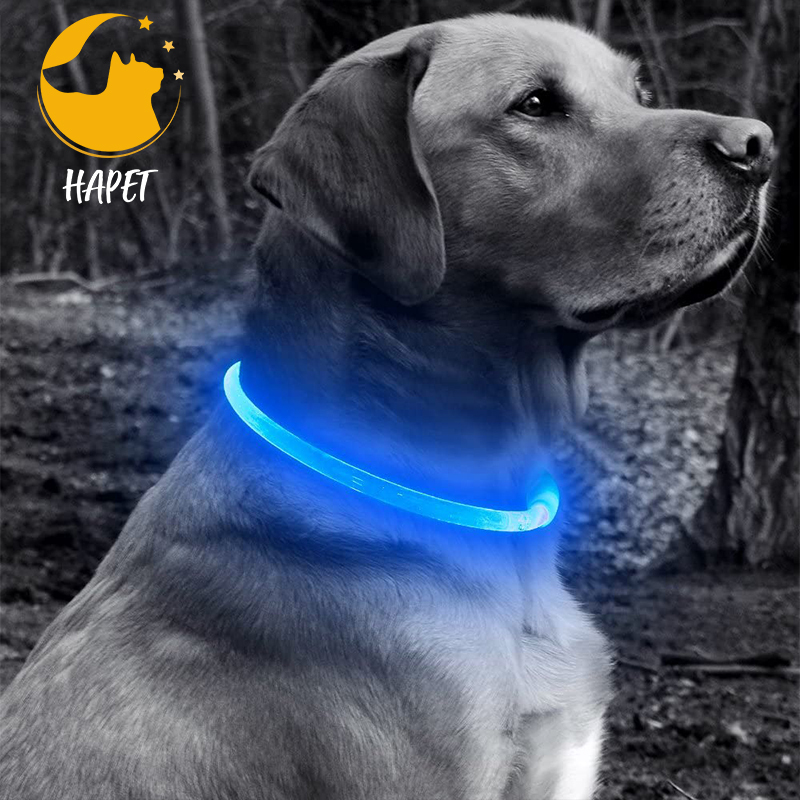 Adjustable Light up Dog Collars Rechargeable LED Dog Collar The Dark Lighted Pet Collars