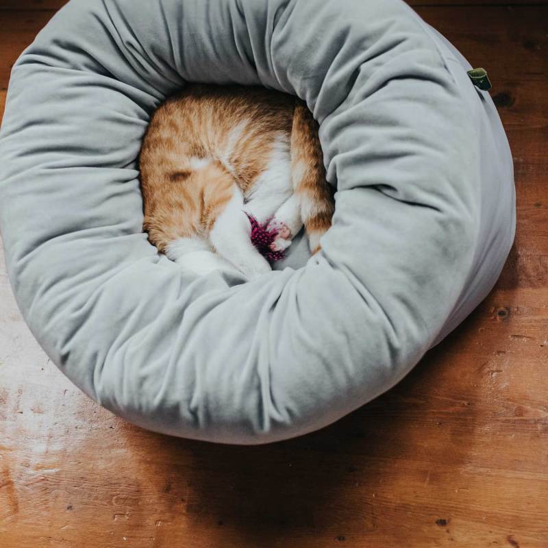 Round Donut Cat and Dog Cushion Bed Super Soft Durable Fabric Pet Beds