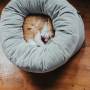 Round Donut Cat and Dog Cushion Bed Super Soft Durable Fabric Pet Beds