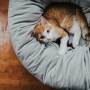 Round Donut Cat and Dog Cushion Bed Super Soft Durable Fabric Pet Beds