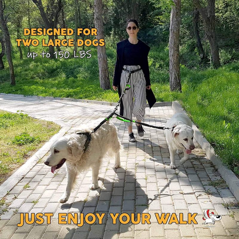 Leash Large Dogs Hands Free No Pull Dog Leashes for Running Hiking Training