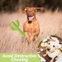 Dog Chew Rubber Strawberry Toys for Breed, Indestructible Tough Durable Toys for Aggressive Chewers, Puppy Teething Chew Teeth