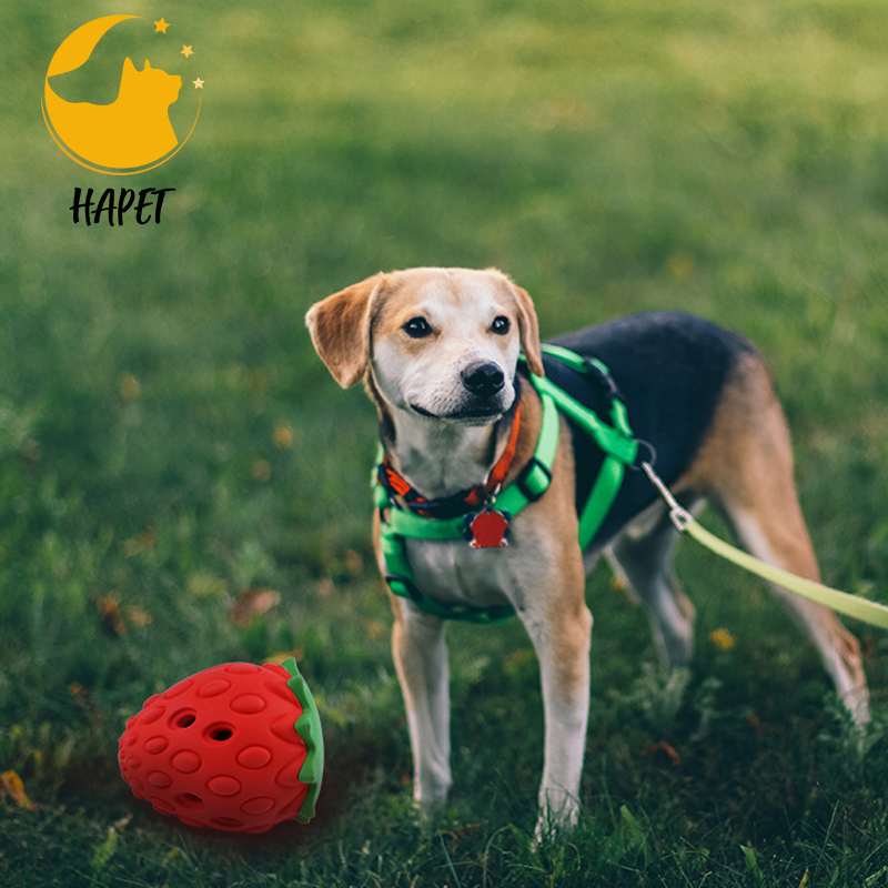 Dog Chew Rubber Strawberry Toys for Breed, Indestructible Tough Durable Toys for Aggressive Chewers, Puppy Teething Chew Teeth