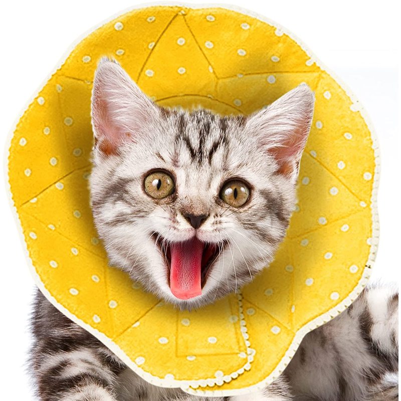 Post Surgery Stress Relieving  Cat Cone Collar with Adjustable Strap Enclosures For Pet