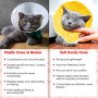 Post Surgery Stress Relieving  Cat Cone Collar with Adjustable Strap Enclosures For Pet