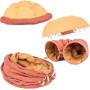 Cushion and Hammock Cat Cave Tunnel Bed For Pet