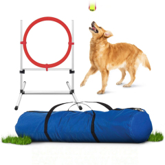 Dog Agility training Obstacle Agility Training Kit for Dog Pet Outdoor Games