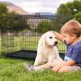 Double-Door Divider Removable Folding Dog Crate for Large Dogs