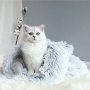 Self Warming Portable Cat Dog Cushion Bed Pad Sack Calming Cave Sleeping Bag Nest Hooded Pet Bed Burrow Hut Plush Pet Bed Mat