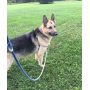 Ombre Rope Dog Leash Braided Cotton Heavy Duty Strong Durable Multi-Colored hemp dog leash rope