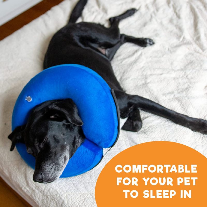 Protective Inflatable Collar for Dogs and Cats