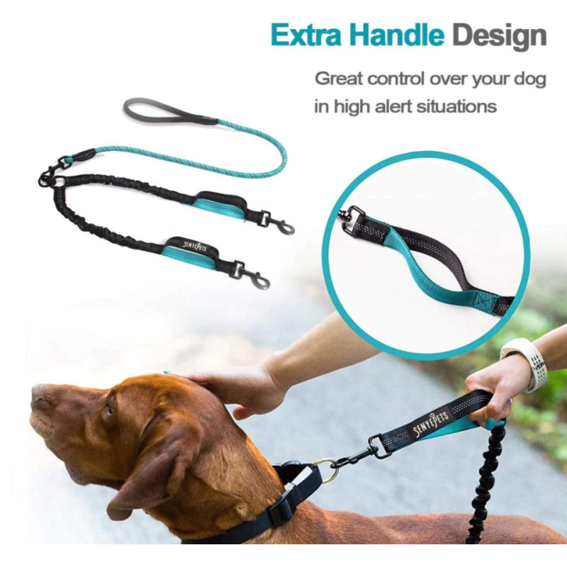 Double Leash Dog Walking Training Retraction Rope Double Dog Leash Reflective Detachable Pet Dog Bungee Elastic Double Leash