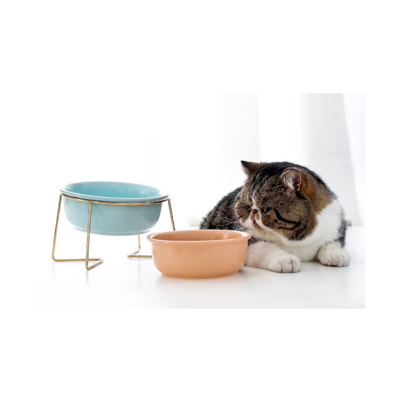 Elevated Cat Water Bowl Ceramic Green Pet Dog Cat Bowls Pet  Square Corner Luxury Ceramic Pet Bowls Feeders
