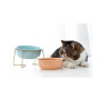 Elevated Cat Water Bowl Ceramic Green Pet Dog Cat Bowls Pet  Square Corner Luxury Ceramic Pet Bowls Feeders
