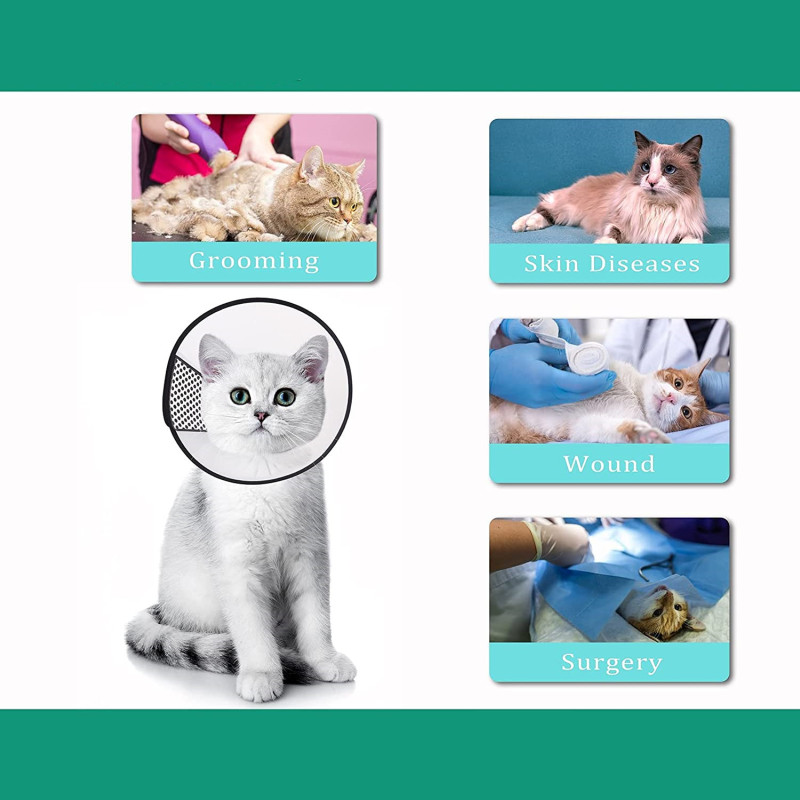 Plastic Dog Cone Collar for Dogs After Surgery Recovery Collar Adjustable
