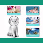 Plastic Dog Cone Collar for Dogs After Surgery Recovery Collar Adjustable