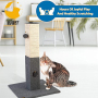 Cat Scratching Post with Interactive Toys Cat Scratch Post Cats Scratching Post