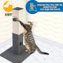 Cat Scratching Post with Interactive Toys Cat Scratch Post Cats Scratching Post