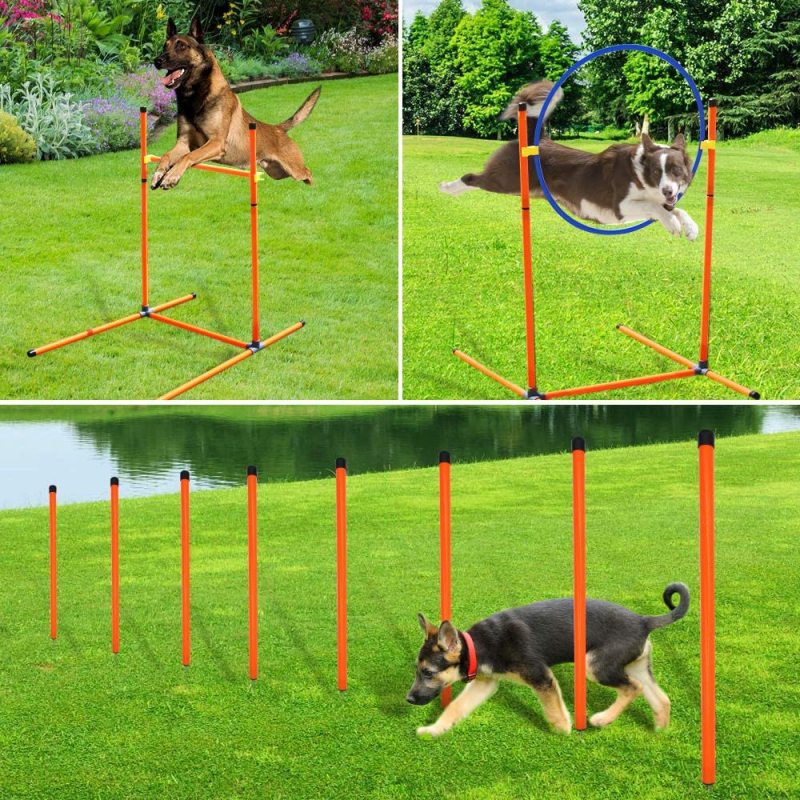 Dog Agility Course Equipment Obstacle Agility Training Starter Kit for Dog And Pet Outdoor Games