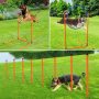 Dog Agility Course Equipment Obstacle Agility Training Starter Kit for Dog And Pet Outdoor Games